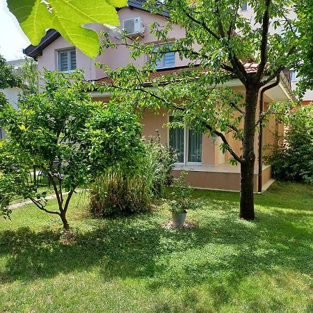 Villa Tamara With Garden And River View - Free Private Parking - Garage Mostar Exterior photo